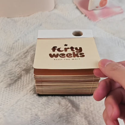 FortyWeeks™ The Reveal Calendar